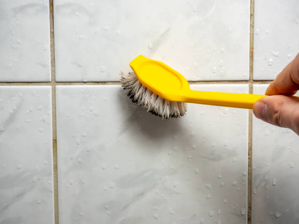 Best Mold Cleaning Services  in North Cape May, NJ