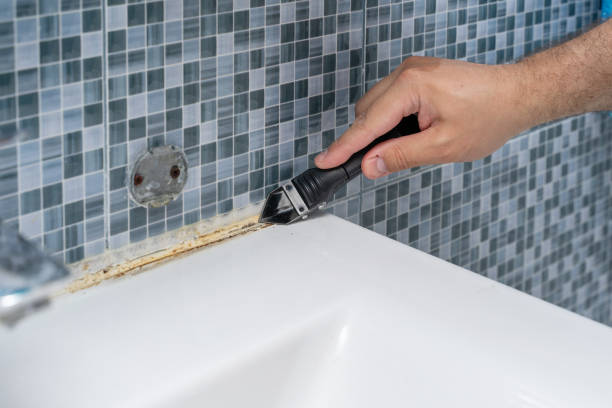 Mold Removal Process in North Cape May, NJ